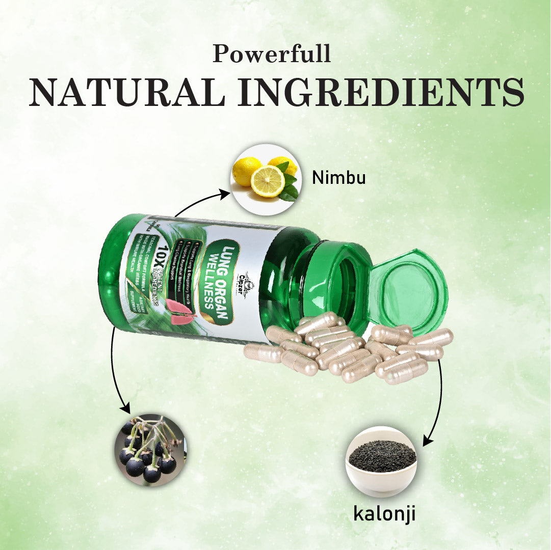 lungorganwellness-03