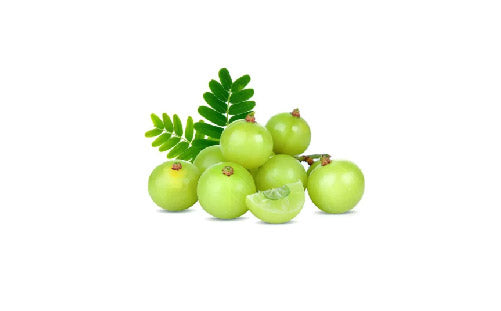 Amla_Fruit_Extract_87d80cdf-8747-4650-bdba-b86f8ed3ed6b