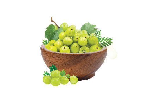 Amla_fruit_powder