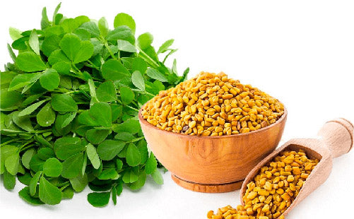 Fenugreek_extract