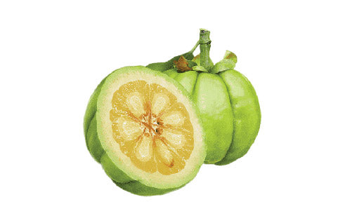 Garcinia_Cambogia