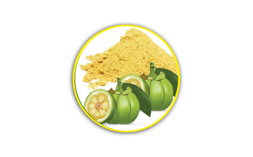 Garcinia_cambogia_extracts