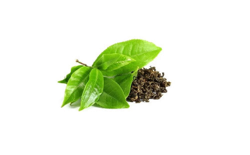 Green_Tea_Extract_097fc940-0d5c-458f-a9ba-e37bb5ff4d88