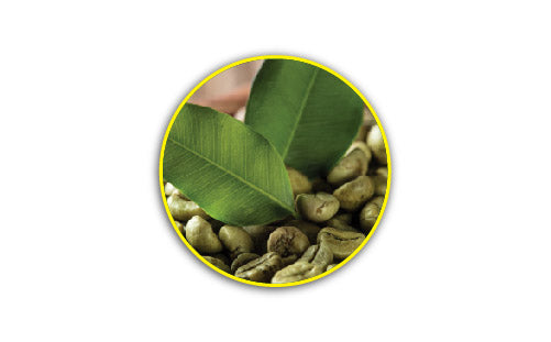 Green_coffee_extract