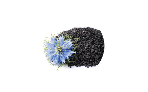 Nigella_sativa_73673e17-6e01-473e-933b-01dc2e72381f