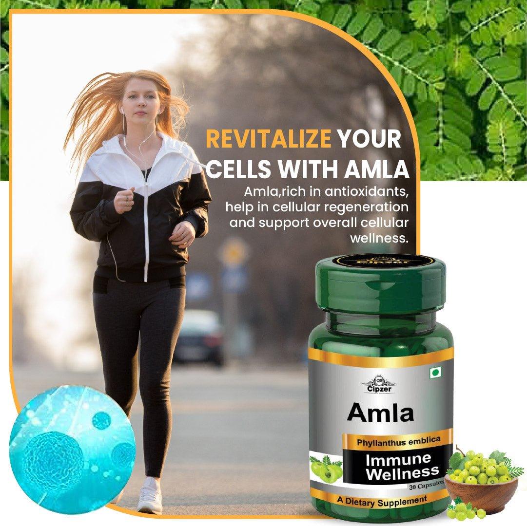 Amla Capsule 30's