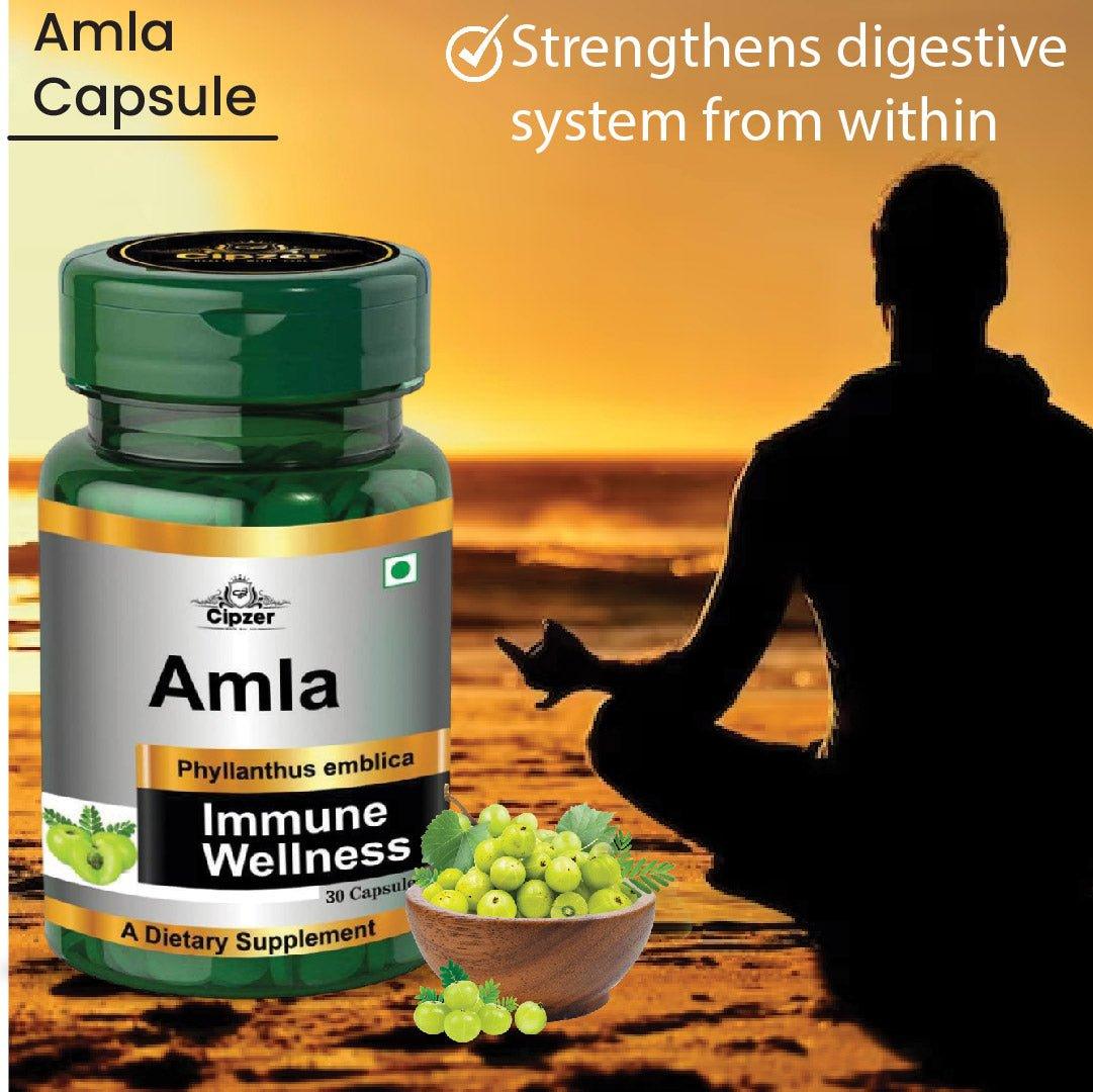 Amla Capsule 30's