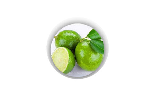 citrus_aurentifalies