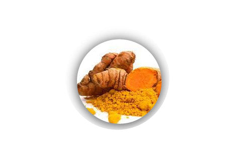 curcuma_langa