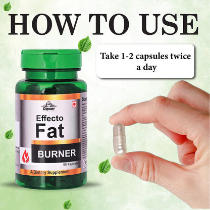 fatbunner60capsule-05